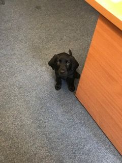 Luna's first day in school!